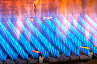 Llanddaniel Fab gas fired boilers